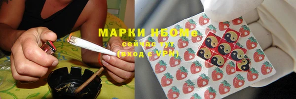 СК Коряжма