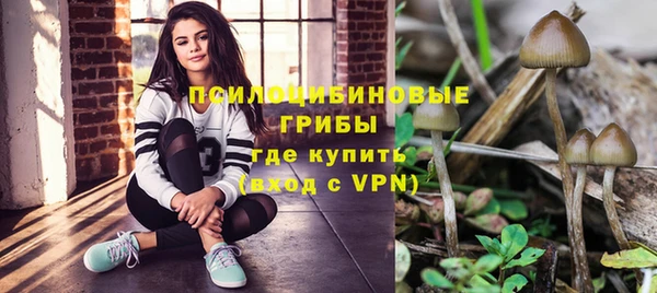 гидропоника Краснослободск
