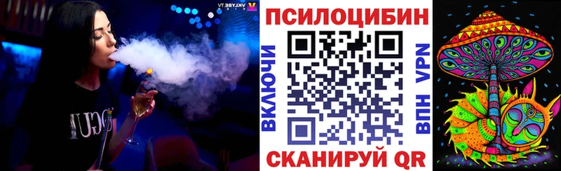 Купить где  Гулькевичи  Галлюциногенные грибы Psilocybe 